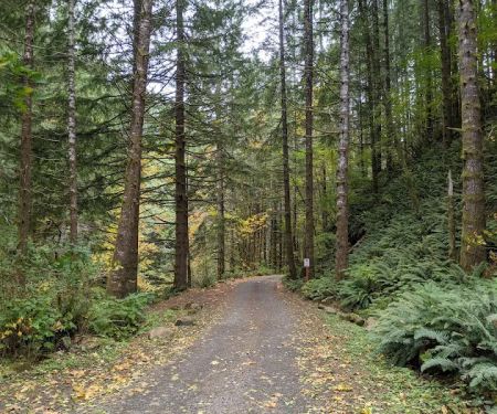 Elk Creek Campground