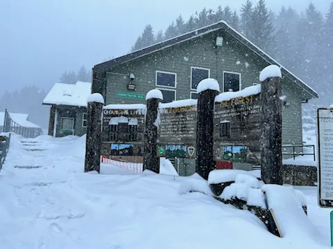 South Fork Forest Camp Picture 7