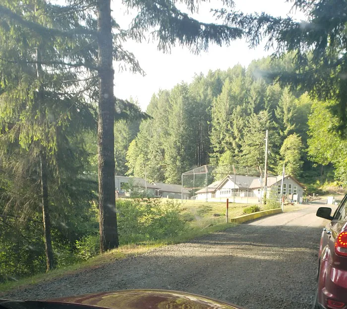 South Fork Forest Camp Picture 8