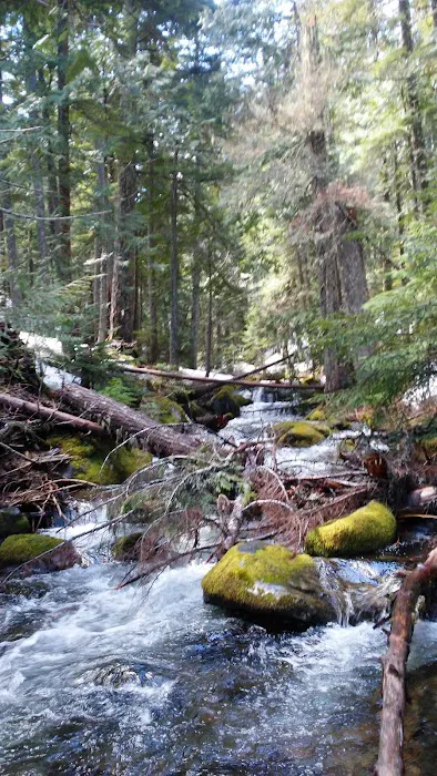 Kinnikinnick (Laurance Lake) Campground Picture 8