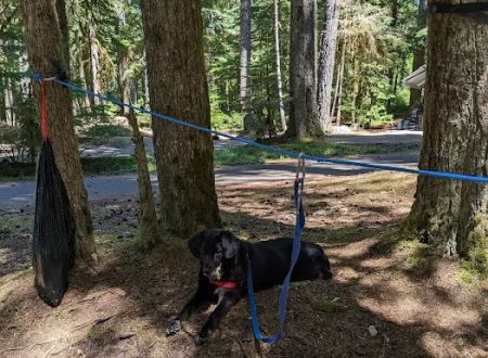 Lost Creek Campground