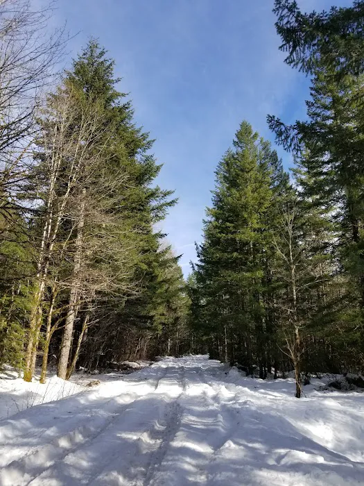 Lost Creek Campground Picture 4