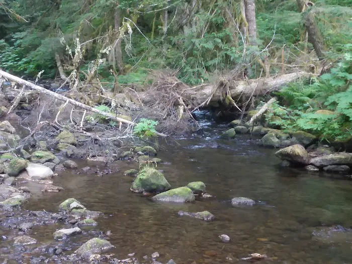 Lost Creek Campground Picture 7