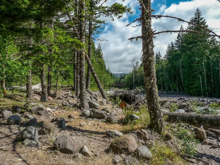 McNeil Campground Picture 4