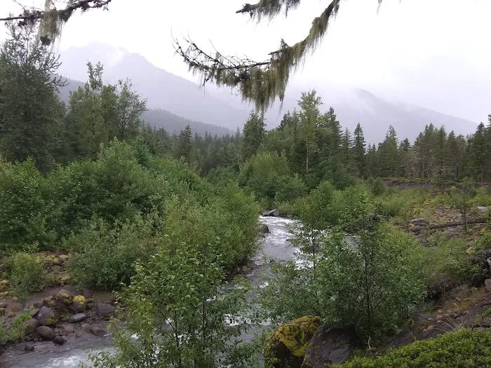 McNeil Campground Picture 1