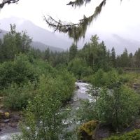 McNeil Campground ico