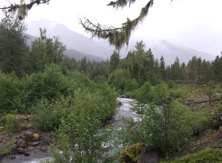 McNeil Campground