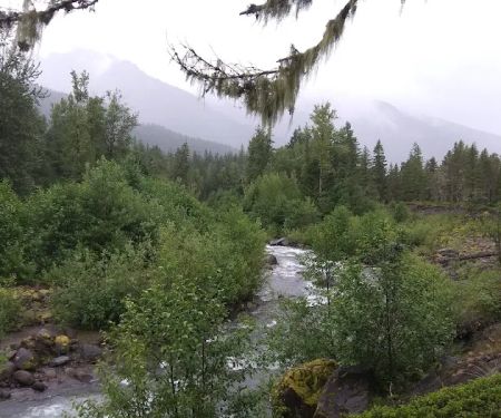 McNeil Campground