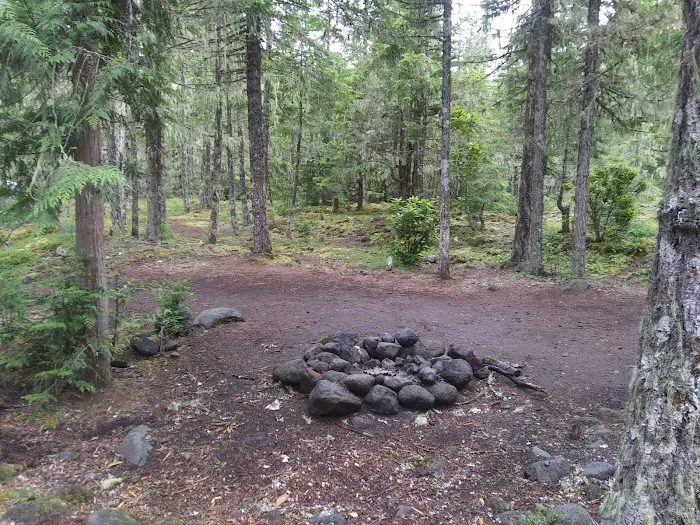 McNeil Campground Picture 3