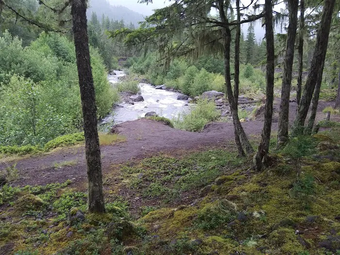 McNeil Campground Picture 9