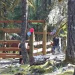 Riley Horse Campground