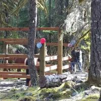 Riley Horse Campground ico