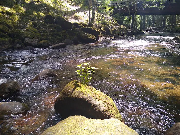 Riley Horse Campground Picture 2