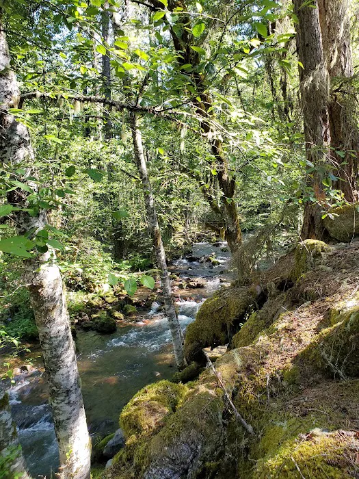 Riley Horse Campground Picture 5
