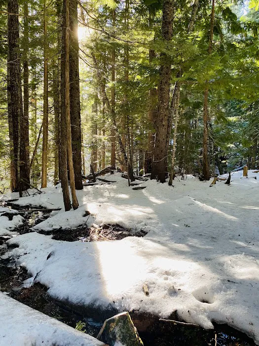 Cloud Cap Saddle Campground Picture 6