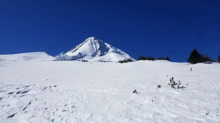 Cooper Spur Trail Shelter Picture 2