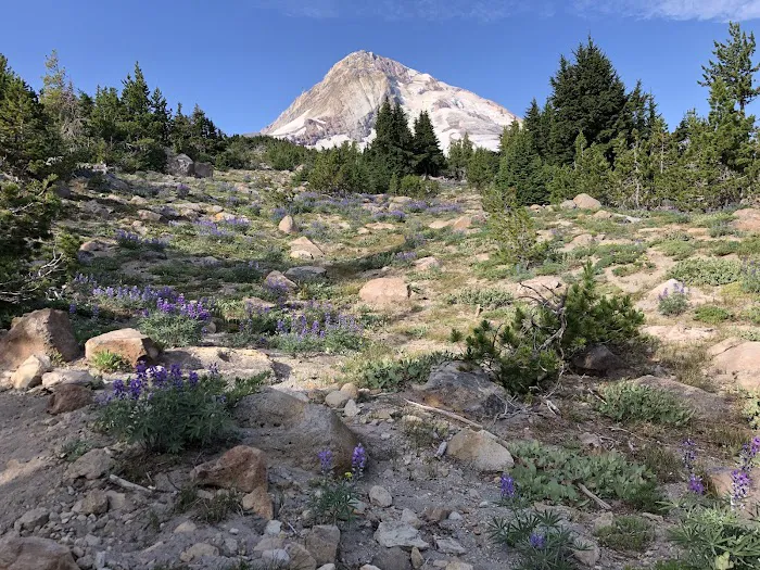 Cooper Spur Trail Shelter Picture 6