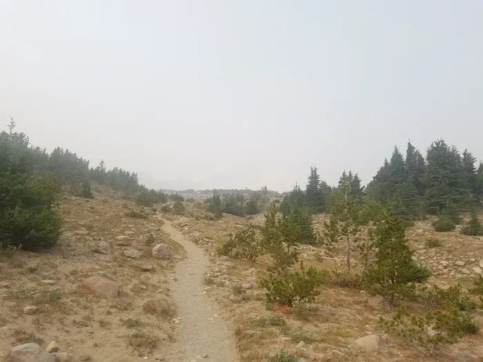 Cooper Spur Trail Shelter Picture 8