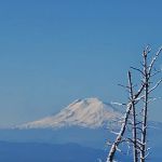 Tilly Jane Campground