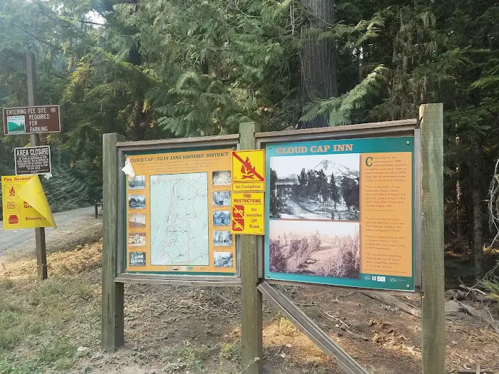 Tilly Jane Campground Picture 5
