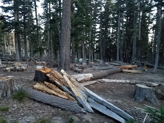 Tilly Jane Campground Picture 3