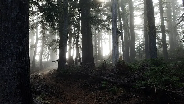 Tilly Jane Guard Station Picture 1