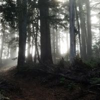 Tilly Jane Guard Station ico