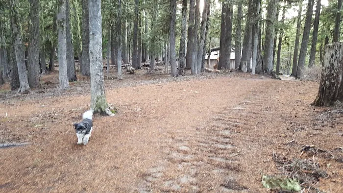 Tilly Jane Guard Station Picture 5