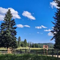 Salmon Meadows Campground ico
