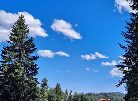 Salmon Meadows Campground