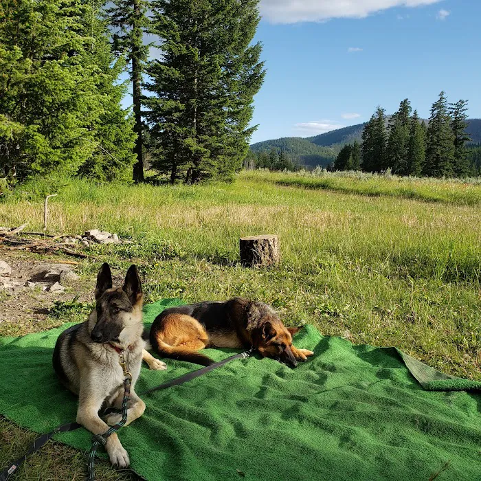 Salmon Meadows Campground Picture 9
