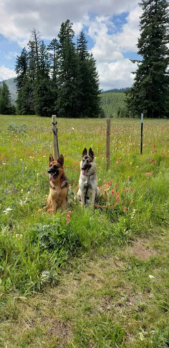 Salmon Meadows Campground Picture 3