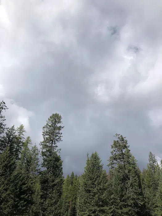 Salmon Meadows Campground Picture 6