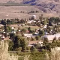US Forestry Department ico