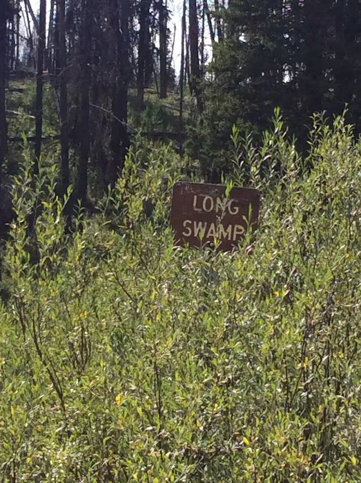 Long Swamp Campground Picture 3