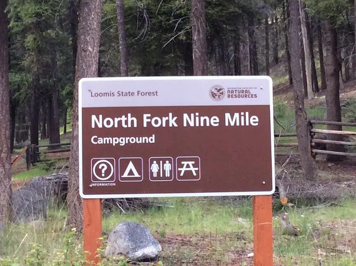 North Fork Ninemile Campground Picture 5