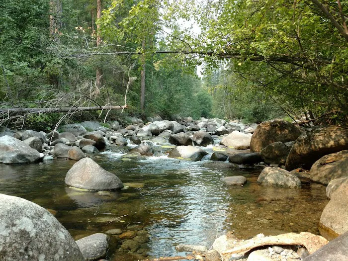 South Fork Junction Campground Picture 7
