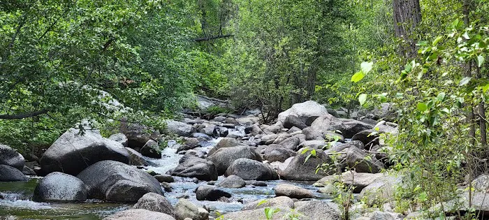 South Fork Junction Campground Picture 5