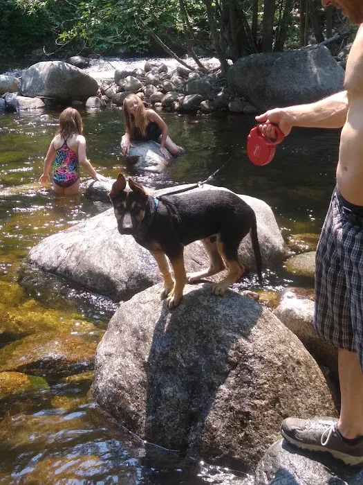 South Fork Junction Campground Picture 2