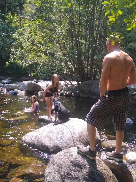 South Fork Junction Campground Picture 1