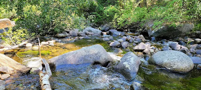 South Fork Junction Campground Picture 4