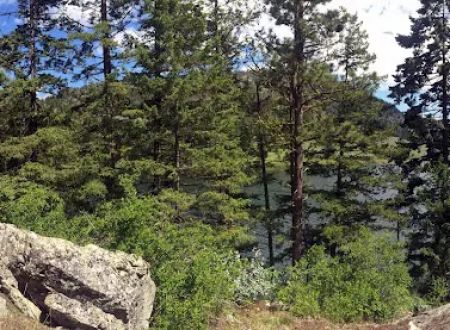 Chopaka Mountain Wilderness Study Area