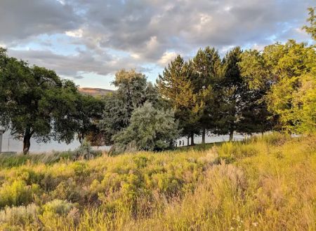 Spring Canyon Campground