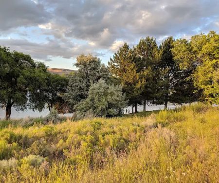 Spring Canyon Campground