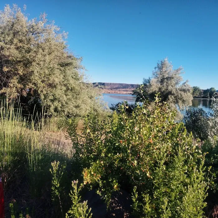 Jones Bay Campground Picture 6