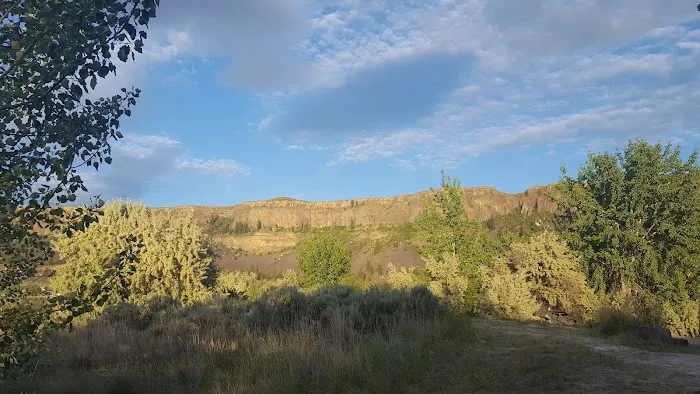 Jones Bay Campground Picture 9