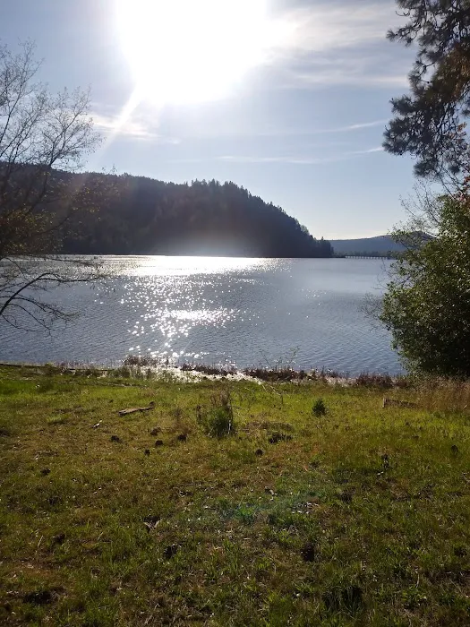 Jones Bay Campground Picture 7