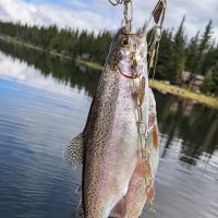 Crawfish Lake Campground ico