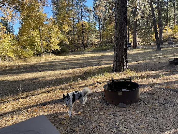 Hobo Camp Picture 1