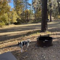 Hobo Camp ico